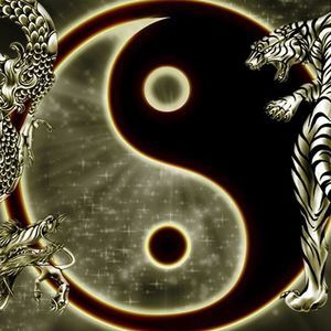 Meet your Posher, Charlene